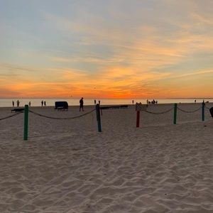 Meet your Posher, Dianne